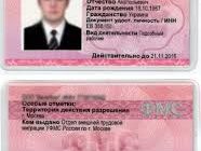 Как оформить патент на работу гражданинам ДНР (срок действия)