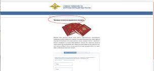 Как проверить готовность заграничного паспорта гражданина РФ