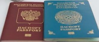 Какой штраф за двойное гражданство в РФ