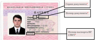 Где оплатить патент на работу для иностранных граждан (квитанция)