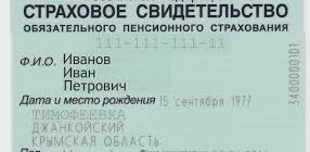 Где и как оформить СНИЛС гражданину Белоруссии в РФ